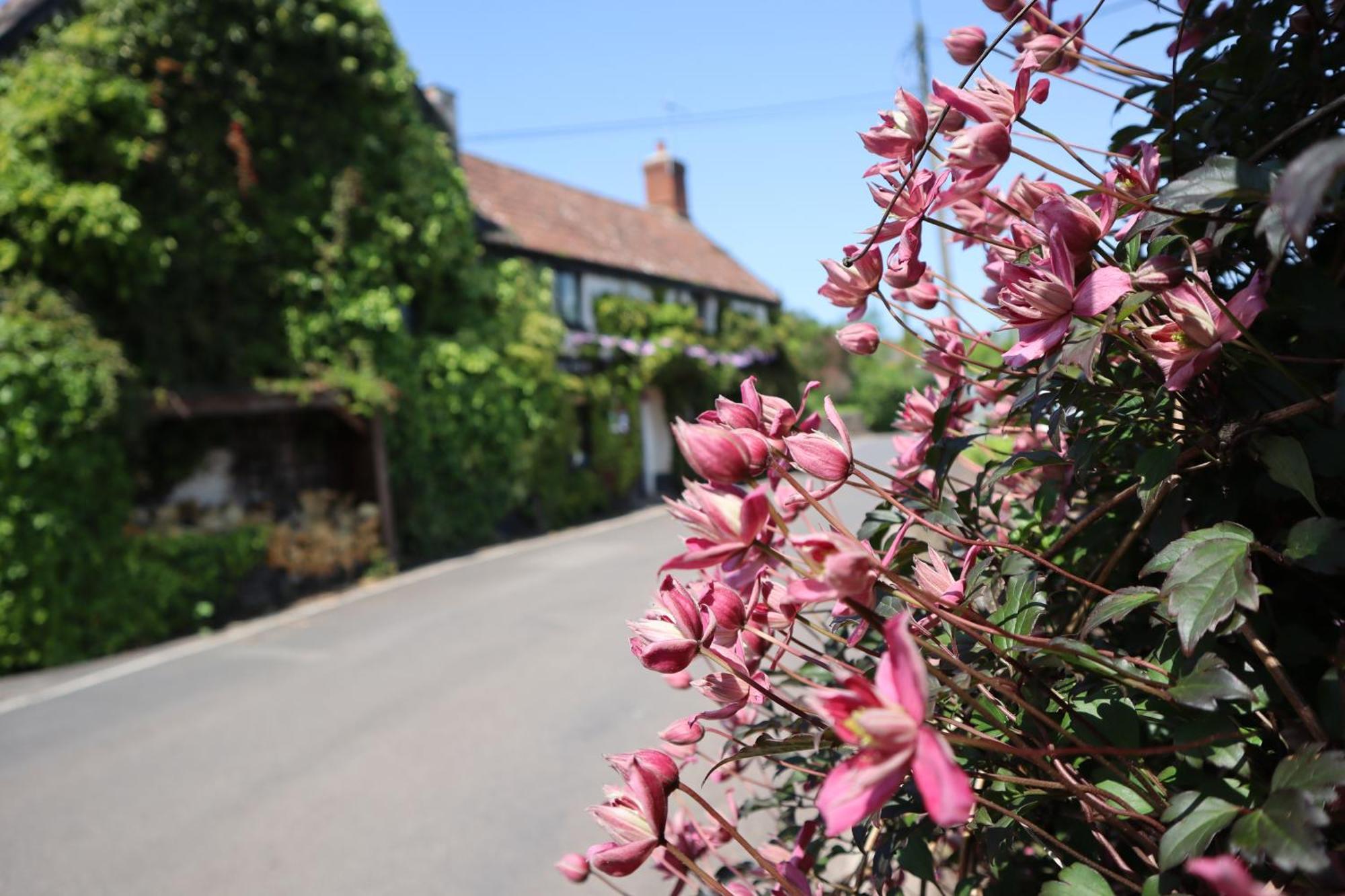 The White Horse Inn Washford Extérieur photo